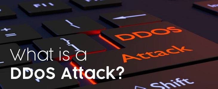 What Is a DDoS Attack?
