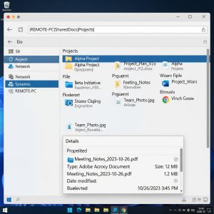 Windows File Explorer accessing a remote shared folder